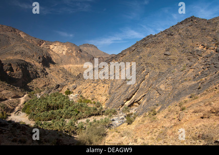 Oase mit Dattelpalmen in Wadi Haat, Hajar-Gebirge des Bereichs Jabal al Akhdar, Jabal al Akhdar, Oman Stockfoto