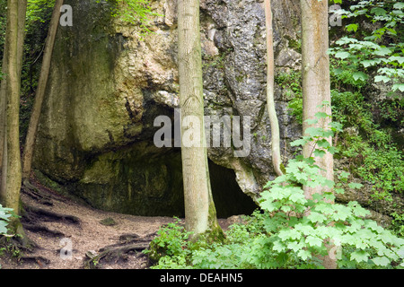 Höhle in der Nähe von Krakowska Brama Steinen, Ojcowski Nationalpark, Polen, Europa Stockfoto