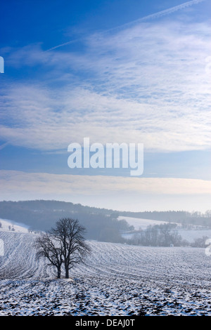 Winterlandschaft in der Nähe von Knezdub, Bile Karpaty, weiße Karpaten Landschaftsschutzgebiet, Südmähren Stockfoto
