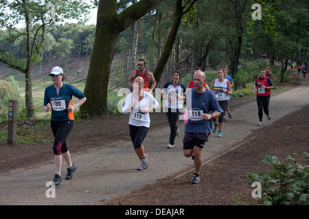 Hindhead, Surrey, UK. 15. September 2013. Läufer in der konstituierenden Punchbowl 10k laufen, 15. September 2013. Der Lauf wird ermöglicht durch die Schließung des alten A3 und nimmt in einigen der spektakulärsten Sehenswürdigkeiten der Gegend, einschließlich des Teufels Punchbowl. Bildnachweis: Susan Norwood/Alamy Live-Nachrichten Stockfoto