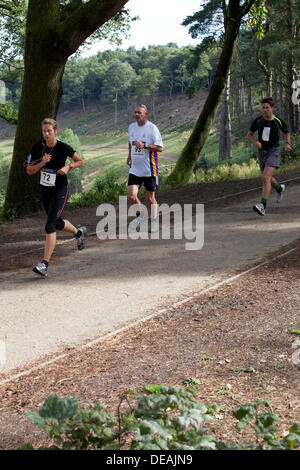 Hindhead, Surrey, UK. 15. September 2013. Läufer in der konstituierenden Punchbowl 10k laufen, 15. September 2013. Der Lauf wird ermöglicht durch die Schließung des alten A3 und nimmt in einigen der spektakulärsten Sehenswürdigkeiten der Gegend, einschließlich des Teufels Punchbowl. Bildnachweis: Susan Norwood/Alamy Live-Nachrichten Stockfoto