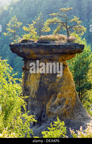 Kokorinske Poklicky, Kokorinsky Dul Nature Reserve, Melnik District, Region Stredocesky, Tschechische Republik, Europa Stockfoto