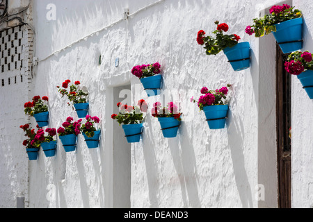 Rue de Mijas in Spanien mit typischen Geranien im blauen Topf Stockfoto