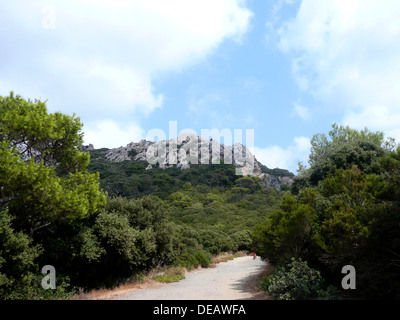 Ile de Porquerolles, Var, Provence-Alpes-Côte d ' Azur, Frankreich Stockfoto