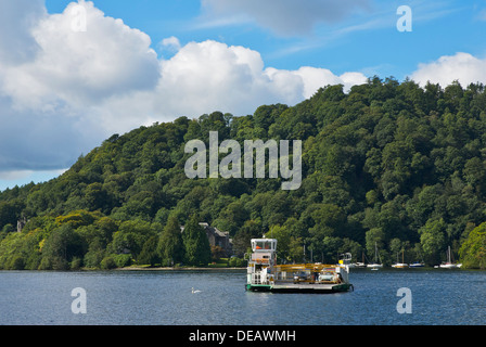 Windermere-Fähre, Stockente, nähert sich Ferry Nab, Nationalpark Lake District, Cumbria, England UK Stockfoto