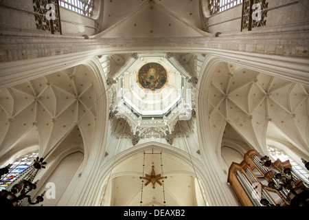 Decke von der Onze-Lieve-Vrouwekathedraal (Kathedrale unserer lieben Frau) in Antwerpen, Belgien Stockfoto