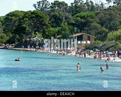 Ile de Porquerolles, Plage d ' Argent, Var, Provence-Alpes-Côte d ' Azur, Frankreich Stockfoto