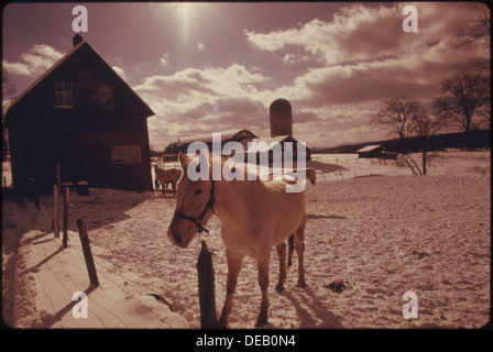 DIESE FARM IN DER NÄHE VON ZENTRUM VON RANDOLPH, VERMONT, IST EINE DER ETWA 50 IN EINEM GEBIET, WO GAB ES MEHRERE HUNDERT, NICHT SO VOR LANGER ZEIT 555538 Stockfoto