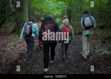 Wanderer zu verwischen Spaziergang durch eine englische Holz während Wochenende Streifzug. Stockfoto