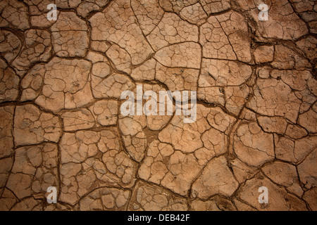 Mesquite Dünen getrocknet Ton Makro-Detail im Death Valley Stockfoto