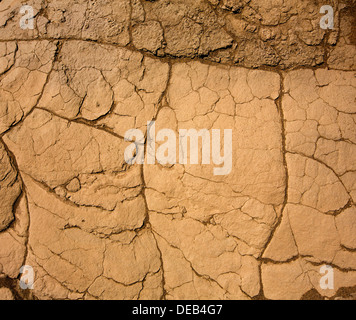 Mesquite Dünen getrocknet Ton Makro-Detail im Death Valley Stockfoto