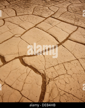 Mesquite Dünen getrocknet Ton Makro-Detail im Death Valley Stockfoto