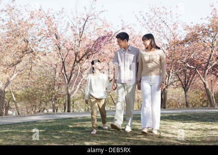 Glückliche Familie bei einem Spaziergang unter den Kirschbäumen in einem Park im Frühling, Beijing Stockfoto