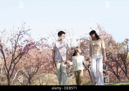 Glückliche Familie Hand in Hand und einen Spaziergang unter den Kirschbäumen in einem Park im Frühling, Beijing Stockfoto