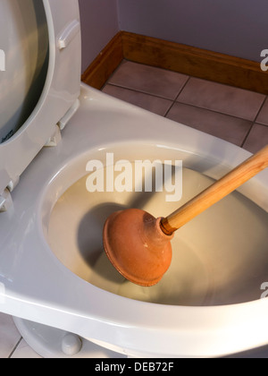 Kolben freimachende Wohn Toilette, USA Stockfoto