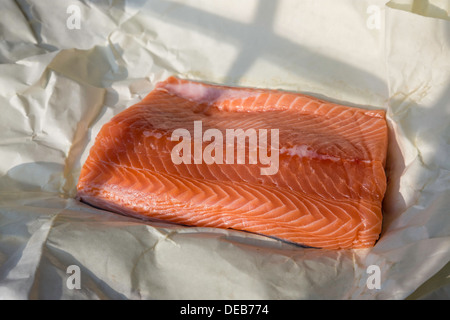 Nahaufnahme, Frisches Lachsfilet Stockfoto