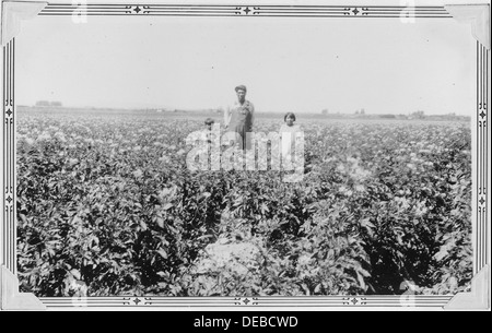 Leon Calico, Präsident indischen Kartoffelerzeuger Assn schreiben und größte indische Kartoffel-Züchter Fort Hall-Reservat, in 298567 Stockfoto