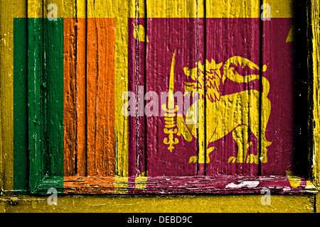 Flagge von Sri Lanka bemalt auf Holzrahmen Stockfoto