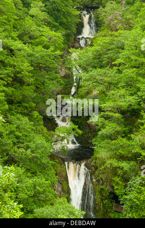 Barke Wasserfall, Teufelsbrücke, Ceredigion, Wales Stockfoto