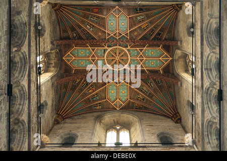 Der Turm-Decke, Kathedrale von St. Davids, St Davids, Pembrokeshire, Wales Stockfoto