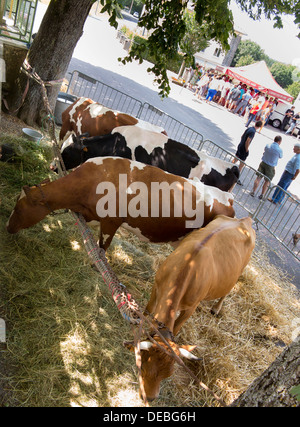 Die Fete du Lait, Festival of Milk, für die Gemeinde Siaugues-Ste-Marie, Haut Loire, Auvergne, Frankreich Stockfoto