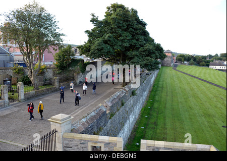 Die Grand Parade, Derry Wände, Derry, Londonderry, Nordirland, Vereinigtes Königreich Stockfoto