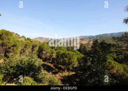 Blick auf den Berg Landschaft, Malaga, Provinz Malaga, Andalusien, Spanien, Westeuropa. Stockfoto