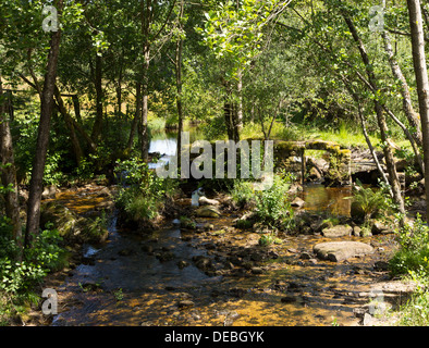 Fluss Dadalouze, ein Tributory Fluss Corrèze, im Parc Naturel Régional de Millevaches En Limousin, Frankreich Stockfoto