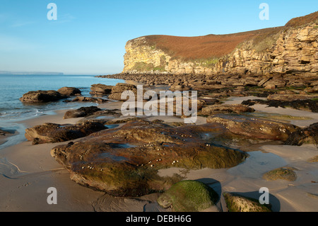 Klippen und Strand auf den Kopf des Mannes auf Dunnet Head, in der Nähe von Thurso, Caithness, Schottland, UK Stockfoto