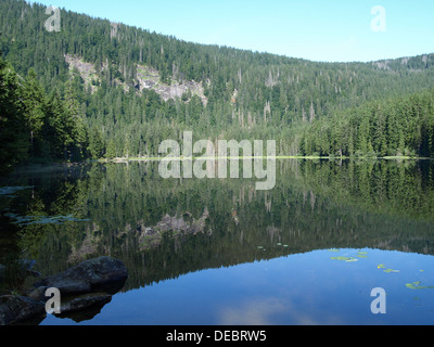 Großer Arber See im Bayerischen Wald, Bayern, Deutschland / Großer Arbersee Im Bayerischen Wald, Bayern, Deutschland Stockfoto