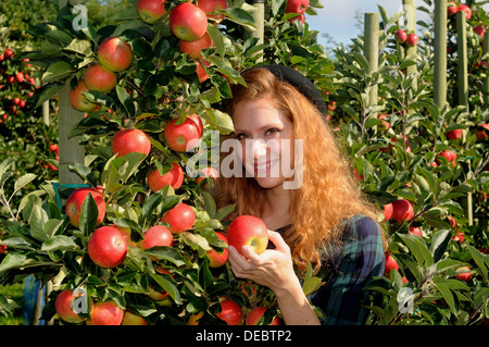 Junge Frau stand neben einem Apfelbaum hält einen Apfel, Kivik, Scania, Schweden Stockfoto