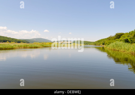 Naturschutzgebiet Ropotamo in der Nähe von Primorsko, Süd-Bulgarien Stockfoto