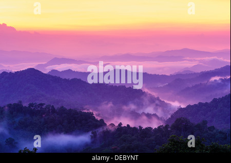 Schöne Dämmerung Landschaft im Regenwald, Thailand. Stockfoto