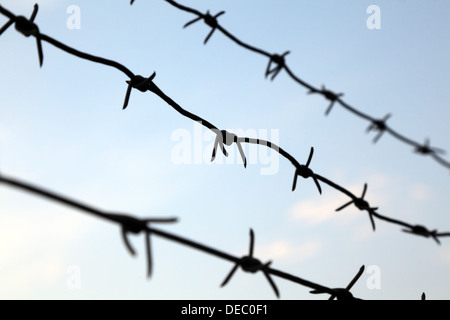 Stacheldraht vor blauem Himmel, selektiven Fokus Stockfoto