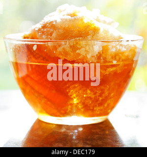 frischer Honig im Kamm in Glasschale am Tisch mit heller Hintergrundbeleuchtung Stockfoto