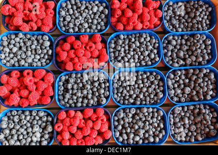 Heidelbeeren und Himbeeren in Schüsseln auf dem Abwürgen, Klagenfurt, Kärnten, Österreich Stockfoto
