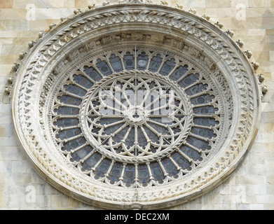 Detail der Rosette von Amuzio DaLurago und Luchino Scarabota, Westfassade der Kathedrale von Como Kathedrale, Kathedrale Stockfoto