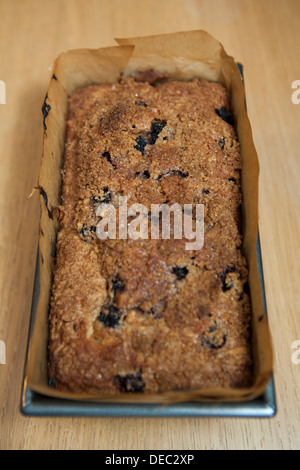 Hausgemachte Blackberry und Apple Brot, frisch aus dem Ofen nehmen und noch in der Dose. Stockfoto