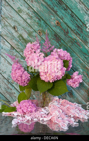 Hortensie Stockfoto, Bild: 71948766 - Alamy
