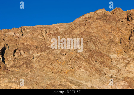 Die Hügeln oberhalb von Badwater Basin mit weißen "Meeresspiegel" unterzeichnen in der Nähe von Hügel. JMH5397 Stockfoto