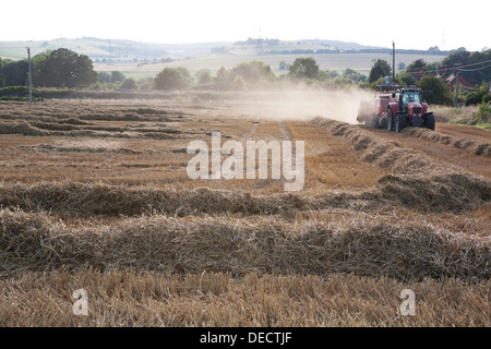 Eine rote Massey Ferguson Traktor und Ballenpresse Pressen Stroh in der offenen Landschaft. Stockfoto