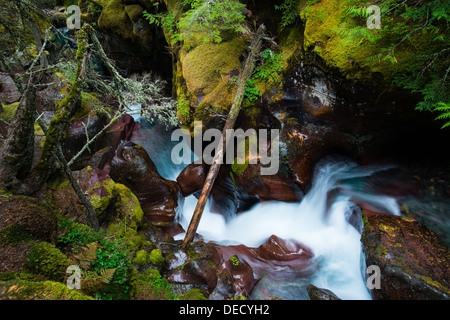 Foto von einem Wasserfall, umgeben von einer üppigen grünen Nordwesten Regenwald. Stockfoto