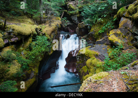 Foto von einem Wasserfall, umgeben von einer üppigen grünen Nordwesten Regenwald. Stockfoto