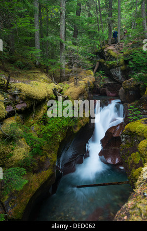 Foto von einem Wasserfall, umgeben von einer üppigen grünen Nordwesten Regenwald. Stockfoto