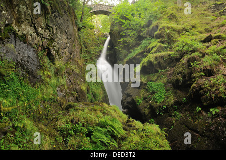 Aira Force, Wasserfall im englischen Lake District National Park Stockfoto