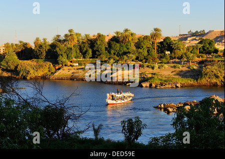 Blick über den Nil in Assuan Botanischer Garten (ehemals genannt Kitchener Island) - Assuan, Oberägypten Stockfoto