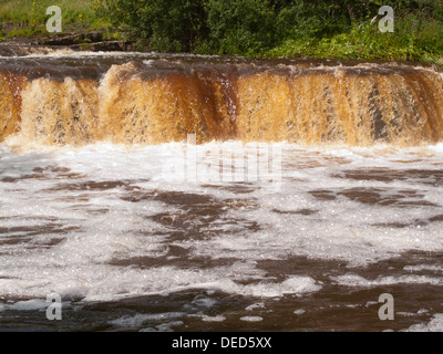 Wain Wath Force, River Swale, bei Flut Stockfoto