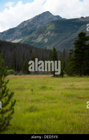 Kawuneeche Valley, Rocky Mountain Nationalpark, Colorado Stockfoto