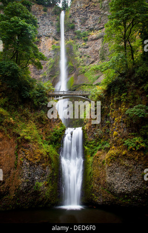 Multnomah Falls entlang der Columbia River Gorge, Oregon USA Stockfoto