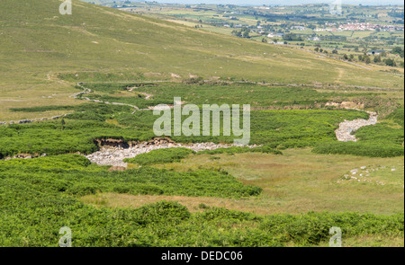 ein Flussbett in Irland nach langen, heißen Sommer ausgetrocknet Stockfoto